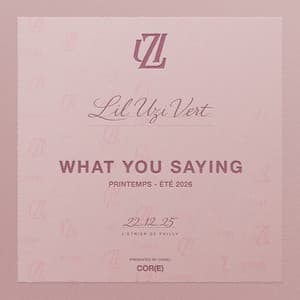 What You Saying - Lil Uzi Vert