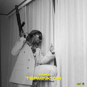 Terminator - Asake