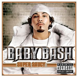 Baby, I'm Back - Baby Bash, Akon