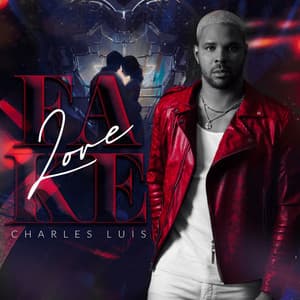 FAKE LOVE - Charles Luis