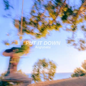 PUT IT DOWN - Angrybaby