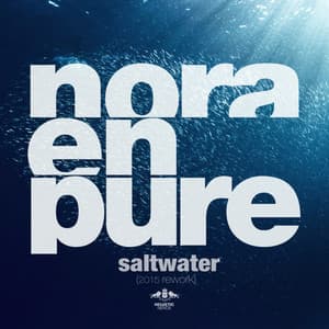 Saltwater - 2015 Radio Rework - Nora En Pure