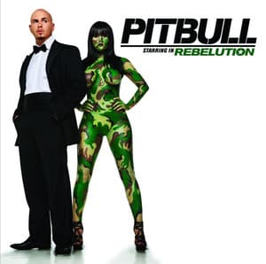 I Know You Want Me (Calle Ocho) - Pitbull