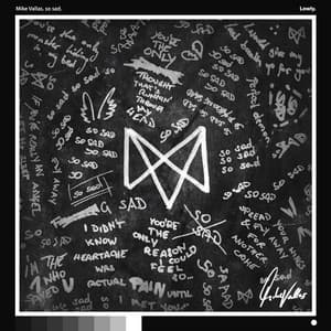 so sad - Mike Vallas
