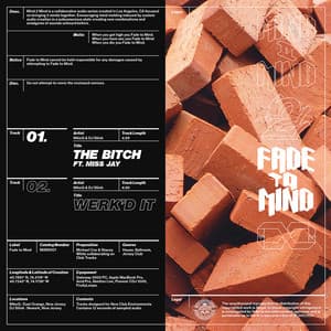 The Bitch - MikeQ & DJ Sliink, Miss Jay