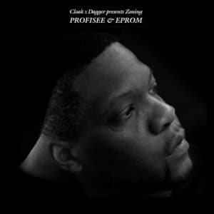 What it Seems Beat - Profisee